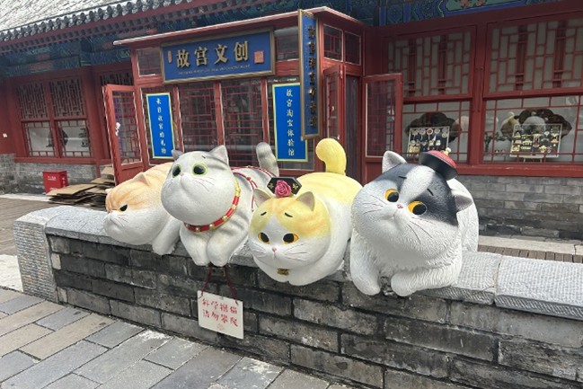 短期留学
